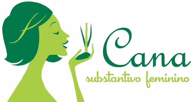 Imagem do 14º Encontro Cana Substantivo Feminino