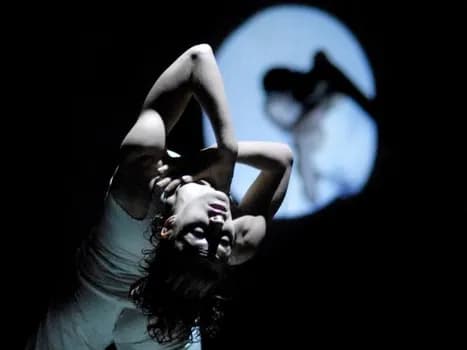 Imagem do 5 Coreógrafos em 1 Corpo