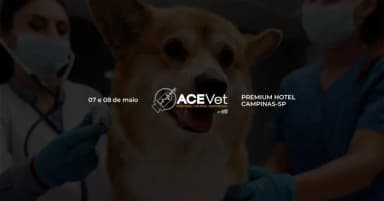 ACE Vet | Anestesia I Cirurgia I Emergência em Campinas