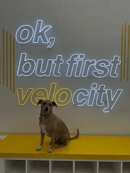 Imagem do Aula de Bike Empatatia + Velocity