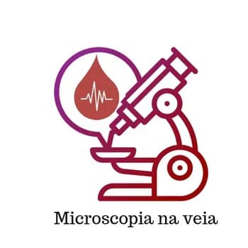 Imagem do AULA PARTICULAR LEITURA DE LÂMINAS