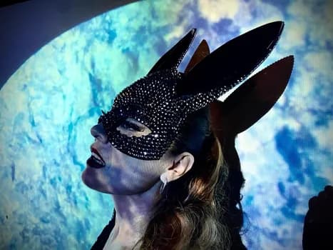 Imagem do baile dos peixes no aquário