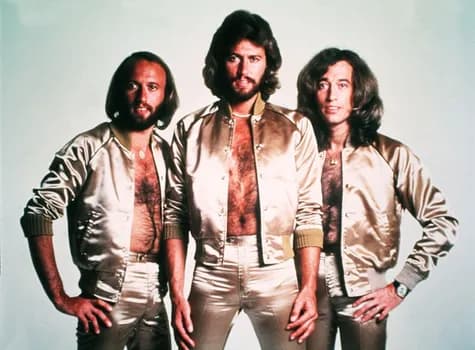 Imagem do BEE GEES BRAZIL EM GUARULHOS TEATRO ADAMASTOR