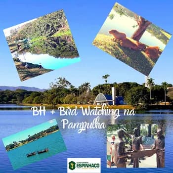 Imagem do BH + Bird Watching Pampulha 01 dia     