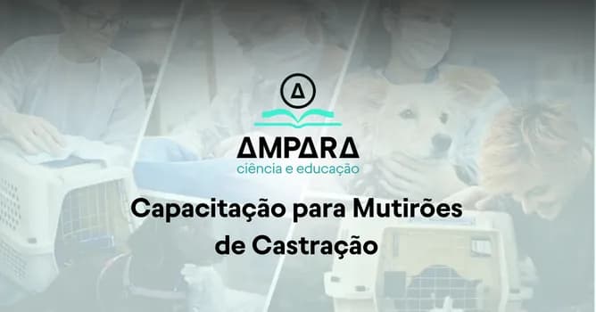 Imagem do Capacitação para Mutirões de Castração