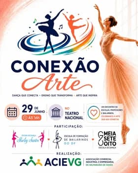 Imagem do Conexão Arte