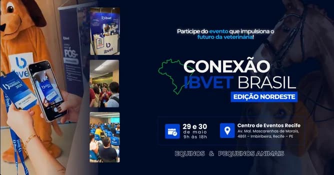 Imagem do CONEXÃO IBVET NORDESTE - Sala de pequenos animais
