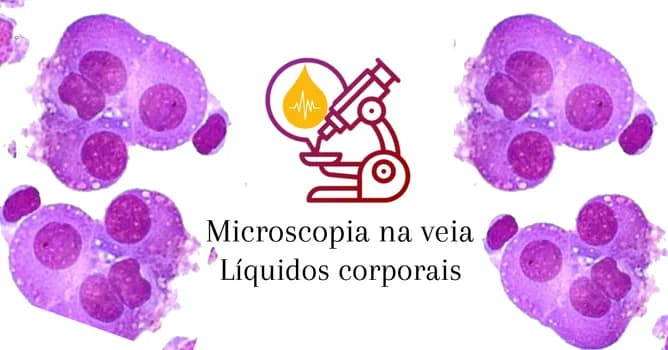 Imagem do CURSO LÍQUIDOS CORPORAIS 14/06/2026