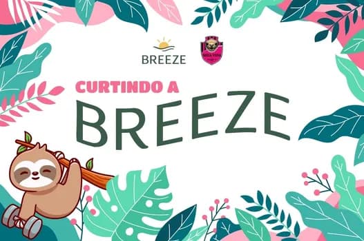 Imagem do Curtindo a Breeze - 2 Edição