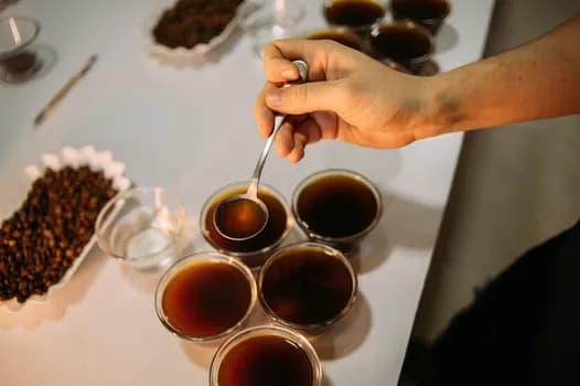 Imagem do Degustação Guiada  Cafés das Montanhas Capixabas