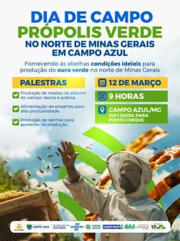 Imagem do Dia de Campo - Própolis Verde - Campo Azul