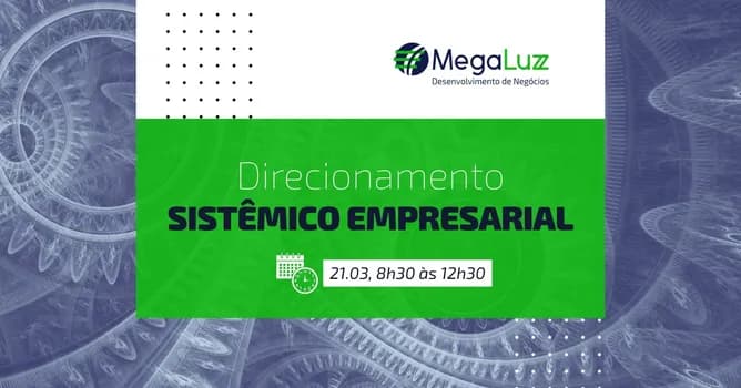 Imagem do Direcionamento Sistêmico Empresarial