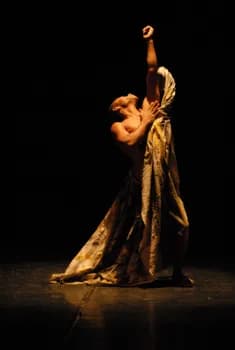 Imagem do ESPETÁCULO TRÊS TEMPOS