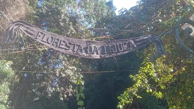 Imagem do Floresta da Tijuca