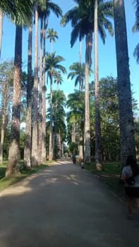 Imagem do Jardim Botânico do Rio de Janeiro