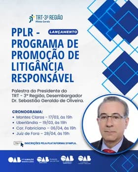 Imagem do LANÇAMENTO PPLR - TRT 3ª REGIÃO
