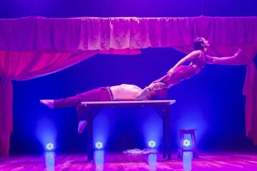 Imagem do O CIRCO DE VARIEDADES DO BARRACÃO DA VÓ em  Salto