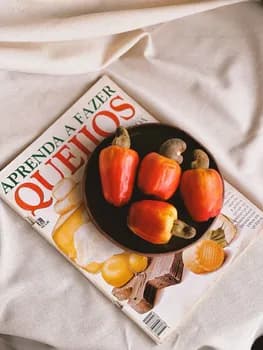 Imagem do Oficina de queijos vegetais fermentados