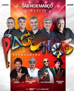 Imagem do PAGUNÇA REENCONTRO