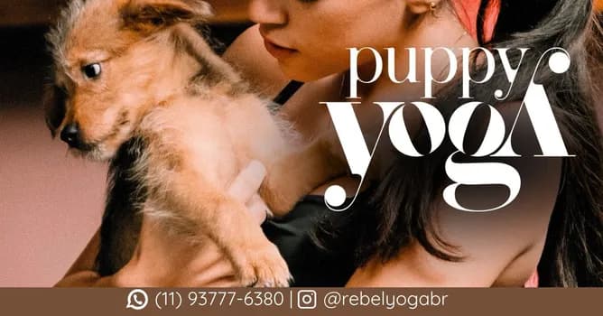 Imagem do Puppy Yoga by Rebel Yoga - São Paulo