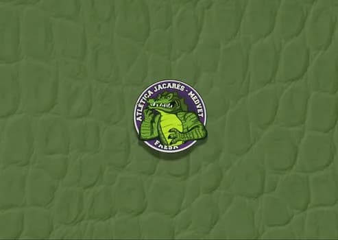 Imagem do Recepção de calouros- Jacarés