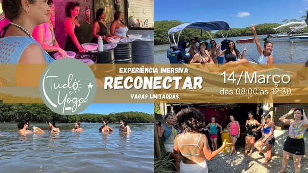 Imagem do Reconectar