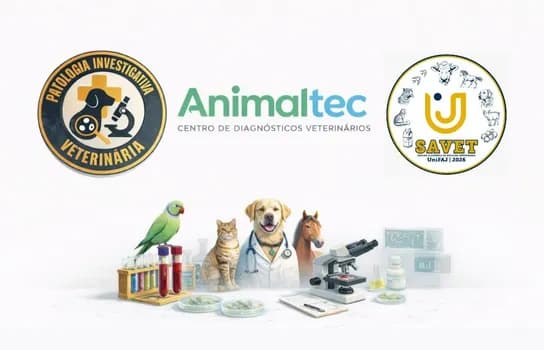 Imagem do SAVET GEPAVI