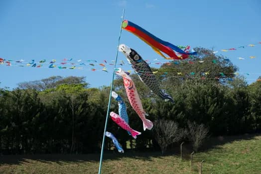 Imagem do Undoukai Cooper 2026