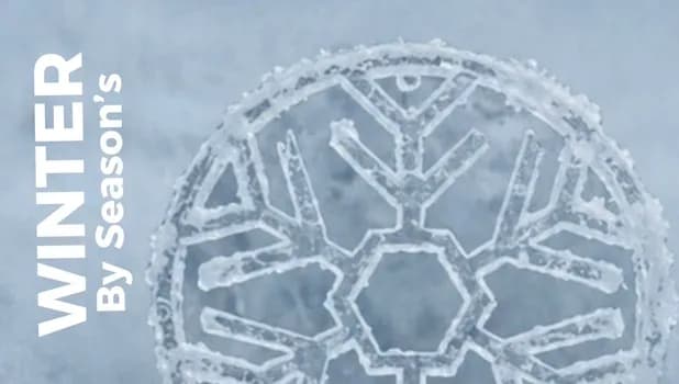 Imagem do WINTER By Season´s