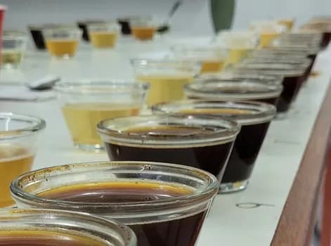 Imagem do Workshop Prático: Protocolo CVA + Cafés do Mundo