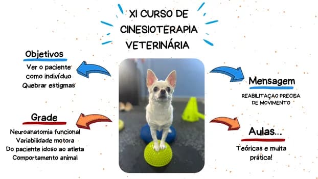 Imagem do XI Curso de Cinesioterapia Veterinária