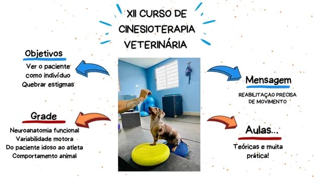 Imagem do XII Curso de Cinesioterapia Veterinária