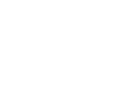 Logotipo do Zig
