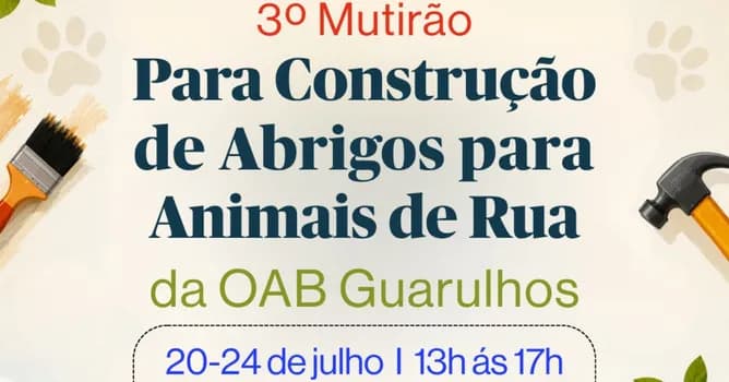 Imagem do 3º Mutirão de Construção de Abrigos para Animais de Rua