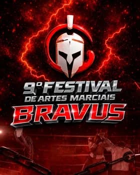 Imagem do 9º Festival de Artes Marciais Bravus