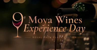 9ª Moya Wines Experience Day em Campinas