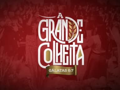A GRANDE COLHEITA em Maceió