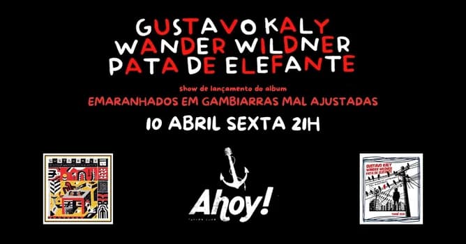 Imagem do Ahoy apresenta Gustavo Kaly + Wander Wildner + Pata de Elefante
