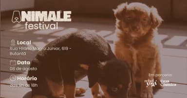 Animale Festival | Puppy Yoga + Bazar em São Paulo