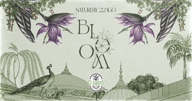 Imagem do BLOOM