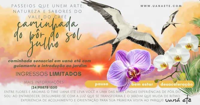 Imagem do CAMINHADA SENSORIAL AO ENTARDECER PARA ADULTOS 15H - 24 E 25 DE JULHO 2026