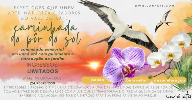 Imagem do CAMINHADA SENSORIAL AO ENTARDECER PARA ADULTOS 15H - 27 E 28 DE MARÇO 2026