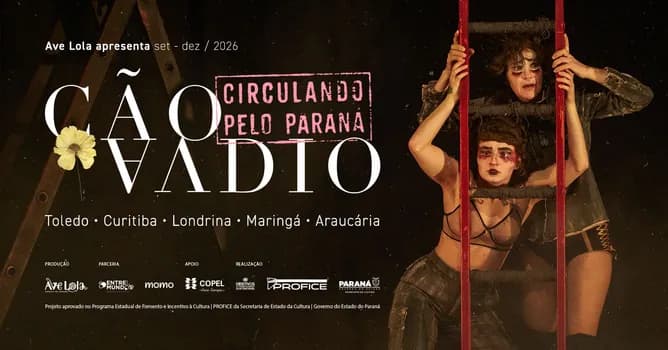 Imagem do Cão Vadio Circulando pelo Paraná: Londrina.