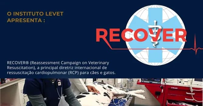 Imagem do Certificação RECOVER® em Ressuscitação Cardiopulmonar de Cães e Gatos