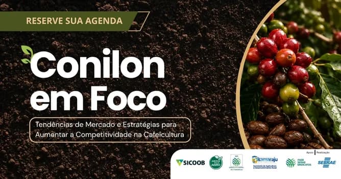 Imagem do Conilon em Foco -Tendências de Mercado e Estratégias para Aumentar a Competitividade na Cafeicultura