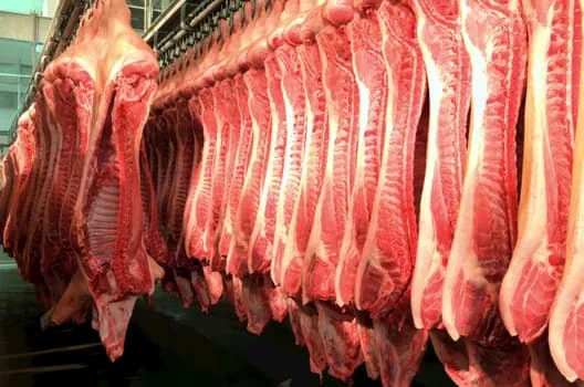 Imagem do Convite para Encontro - Imunocastração na Suinocultura Goiana