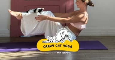 Crazy Cat Yoga de Agosto em Curitiba