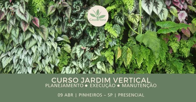 Imagem do Curso de Jardim Vertical - Planejamento, Execução e Manutenção