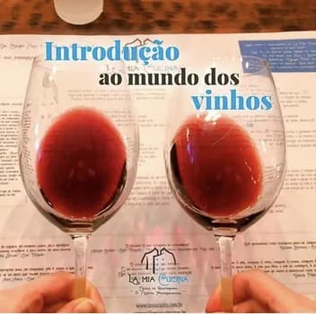 Imagem do Curso de Vinhos - Introdução ao Mundo dos Vinhos