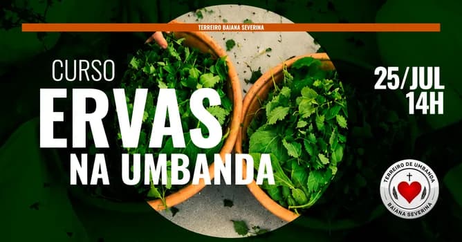 Imagem do Curso Ervas na Umbanda